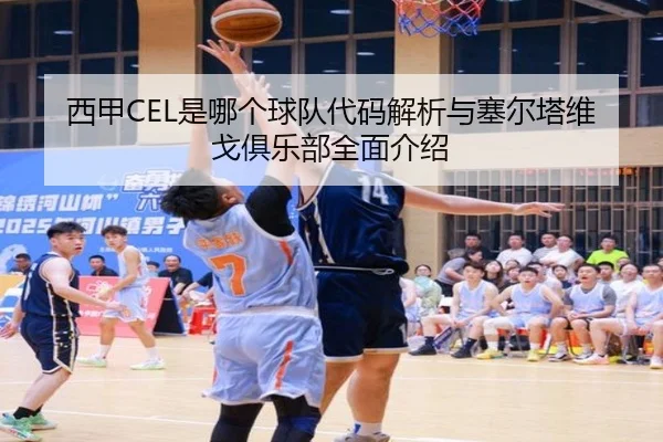 西甲CEL是哪个球队代码解析与塞尔塔维戈俱乐部全面介绍